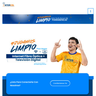 Web Page Preview